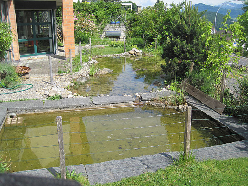 Teiche sind Biotope
