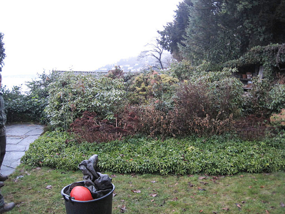Aus Rhododendronbeet wird Blumenwiese mit Gewässer und Mauer (vorher)
