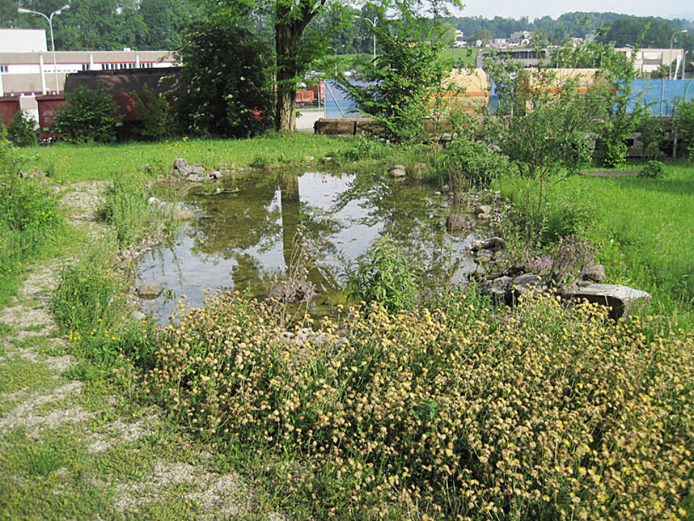 Kiesflächengestaltung mit Wasser